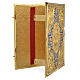 Lectionary cover in gold brass with varnishes s11