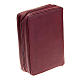 Funda Biblia Jersusalém 2009 cuero cremallera s11