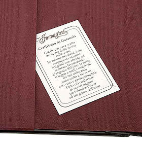 Custodie Bibbia San Paolo: Copertina Bibbia Ebron placca Gesù