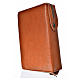 Liturgy of the Hours cover brown bonded leather with Divine Mercy s2