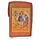 Liturgy of the Hours cover brown bonded leather with Holy Trinity image s1