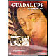 Guadalupe , un'immagine viva s1