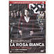 La rosa bianca s1