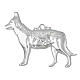 Exvoto cane pastore argento 925 o metallo 10x8 cm s1