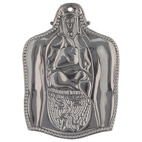 Ex-Voto: Ex-voto estomac 17x12 cm