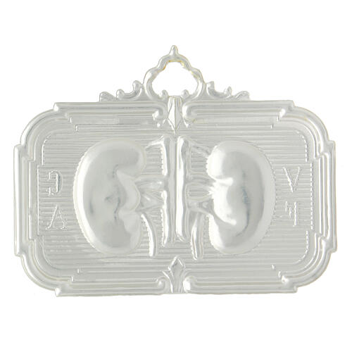 Ex-voto with kidneys 10x13 cm, metal or 925 silver 4