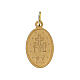 Miraculous Medal, anodiseded gold plated metal, 18x13 mm s2