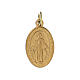 Virgin Mary Miraculous medal in gold anodized aluminum 18x13 mm s1