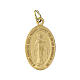 Miraculous medal in gold anodized aluminum 22x15 mm s1