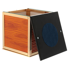 Urna cineraria  Ray  C. s5