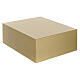 Smooth book cremation urn in matte gold lacquer 5L s1