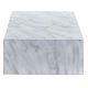 Urna funeraria libro liscio effetto marmo Carrara lucido 5L s3