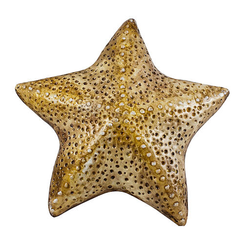 Ochre starfish urn, 15x39x39 5 liters 1