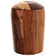 Eco-friendly light and dark walnut wood cremation urn with butterfly engraving s4