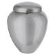 Taupe Metallized Aluminum Cremation Urn, 25 cm s3