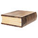 Urne cinéraire livre frêne mod. Amore Sainte Famille argent 999 Gamme Unica 35x30x15 cm s5