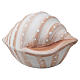 Biologisch abbaubare Ascheurne in Muschelform, Rosa s4