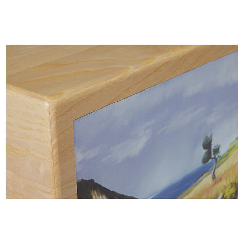 Urna na prochy Costa, drewno jesionowe, linia Dona, panel skórzany, 20x25x20 cm 2