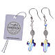 Earrings in 925 silver and strass with Lourdes medal s3