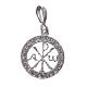 Pendant charm in 925 silver and white crystal s1
