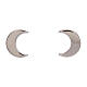 Moon-shaped stud earrings AMEN, 925 silver s1