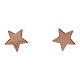 Star-shaped stud earrings AMEN, pink 925 silver. s1