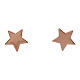 Pendientes estrella AMEN plata 925 rosada s1