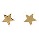 Star-shaped stud earrings AMEN, gold plated 925 silver s1