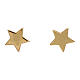 Boucles d'oreilles AMEN étoile argent 925 doré s1