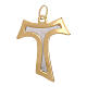 Tau pendant in two-tone gold 750/00 with satin interior 2.15 gr s2