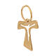 Mini tau-shaped pendant, 18k yellow gold with wood finish, 0.15 g s1