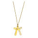 Double cross pendant E Gioia Sia, gold plated 925 silver s4