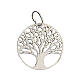 Round pendant of 2 cm, black and white diamond Tree of Life, 925 silver s3