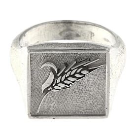 Adjustable signet ring with ear of wheat, 925 silver, for men, HOLYART Collection