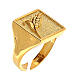 Adjustable signet ring for man with ear of wheat, gold-plated 925 silver, HOLYART Collection s1