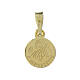 Medaglia Madonna Lourdes Bernadette argento 925 dorato 10 mm s2