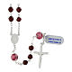 Rosary with pink Pater Noster beads with roses, garnet faceted crystals of 0.24 in and Miraculous Medal, 925 silver s2