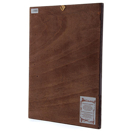 Panagia Giatrissa Virgem com o Menino 44x32 cm 3