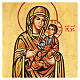 Icona sacra Vergine Hodighitria Romania 22x18 cm s2