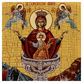 Virgen de la Fuente de la Vida icono ruso découpage 42x30 cm