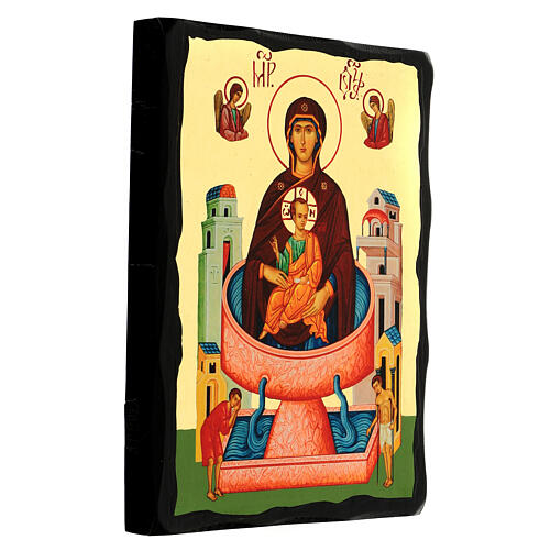 Russian icon, Mother of God of the Life-giving Spring, Black and Gold, 12x8 in 3