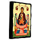 Russian icon, Mother of God of the Life-giving Spring, Black and Gold, 12x8 in s3