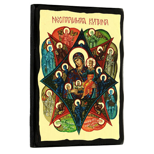 Burning Bush Russian icon Black and Gold style 18x24 cm 3
