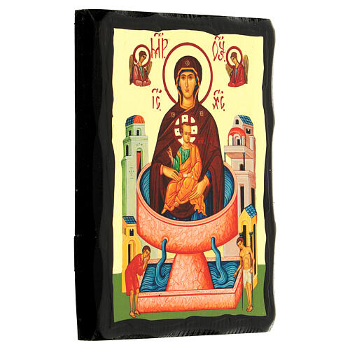Icon Virgin of the Source of Life Russian Black and Gold style 14x18 cm 3