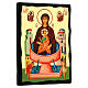 Russian icon, Black and Gold collection, Mother of God of the Life-giving Spring, 16x12 in s3