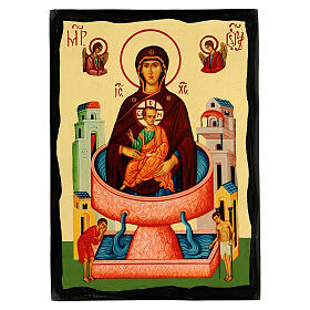 Icono Virgen de la Fuente de Vida estilo ruso Black and Gold 18x24 cm