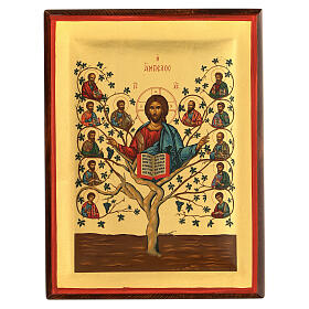 Icon of the grapevine and the vine shoots