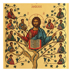 Icon of the grapevine and the vine shoots