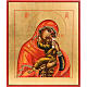Icon of the Madonna Umilenie s1