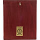 Icona Russia Madonna con colomba 27x22 s5